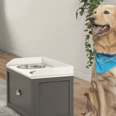 PawHut Elevated Pet Feeding Station with Storage, 2 Bowls, Gray