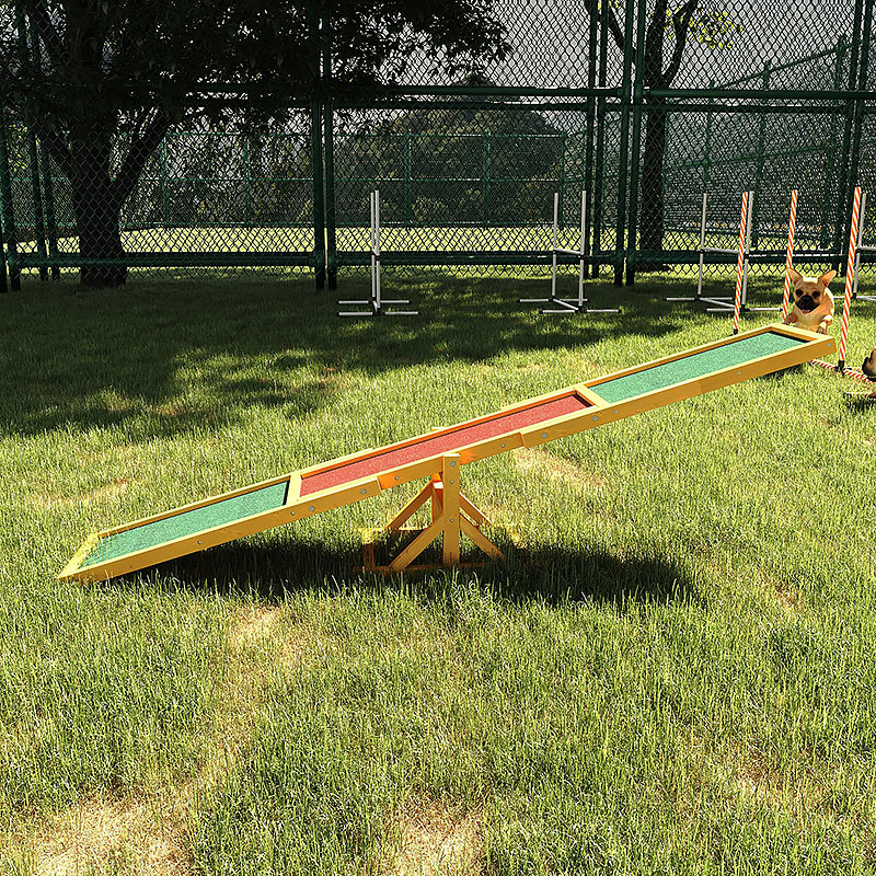 Dog Agility Training Equipment