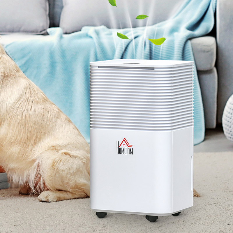 Home Dehumidifiers