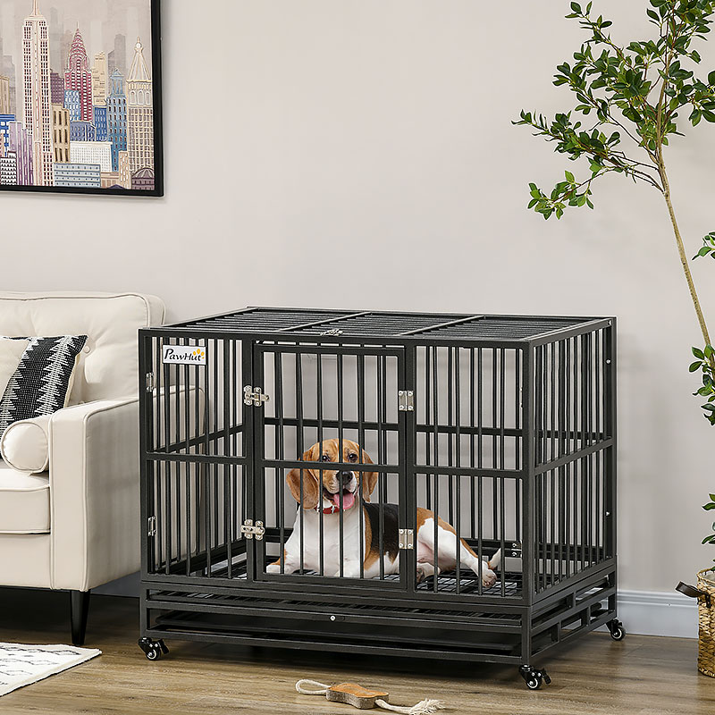 Dog Kennels & Dog Crate