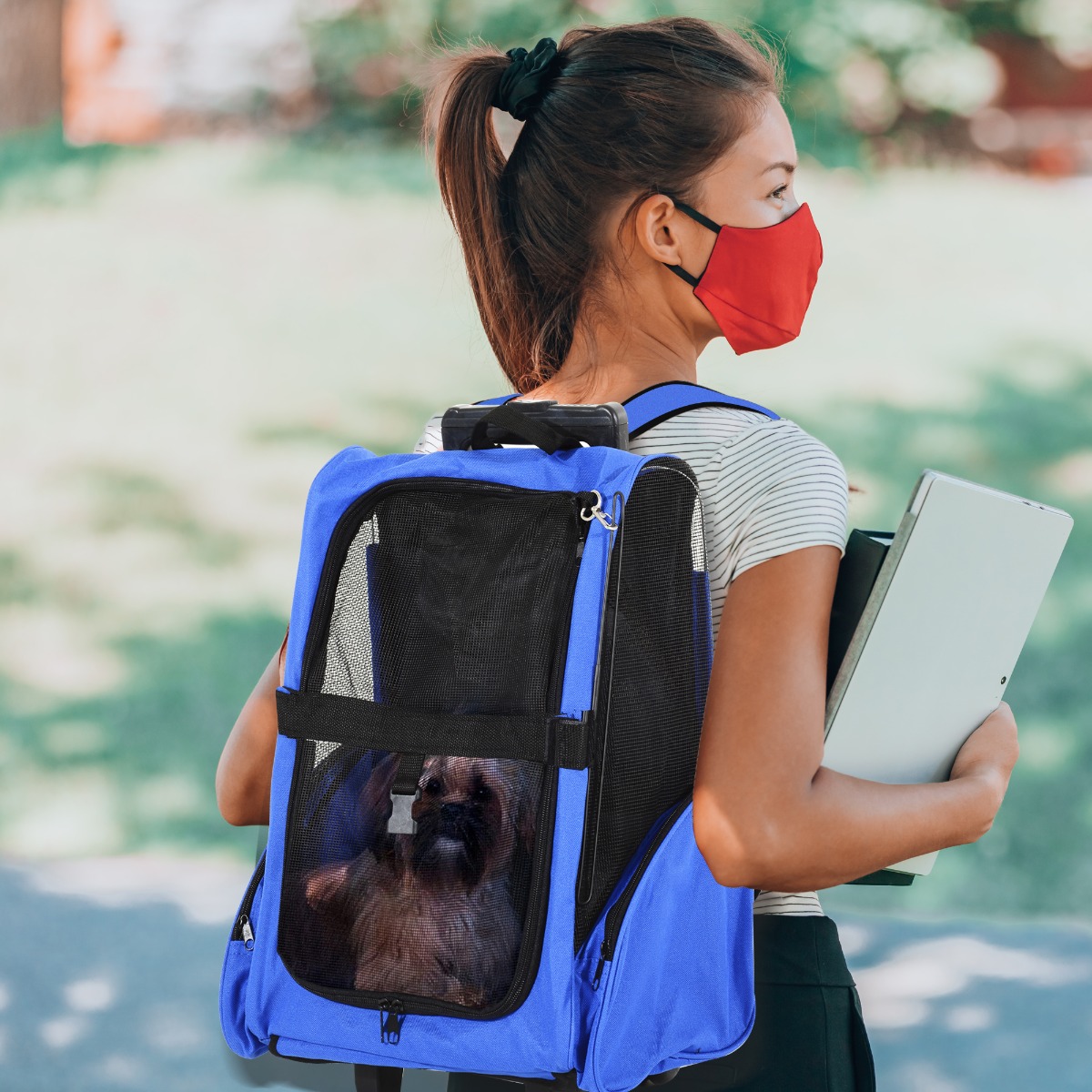 putting dog in backpack
