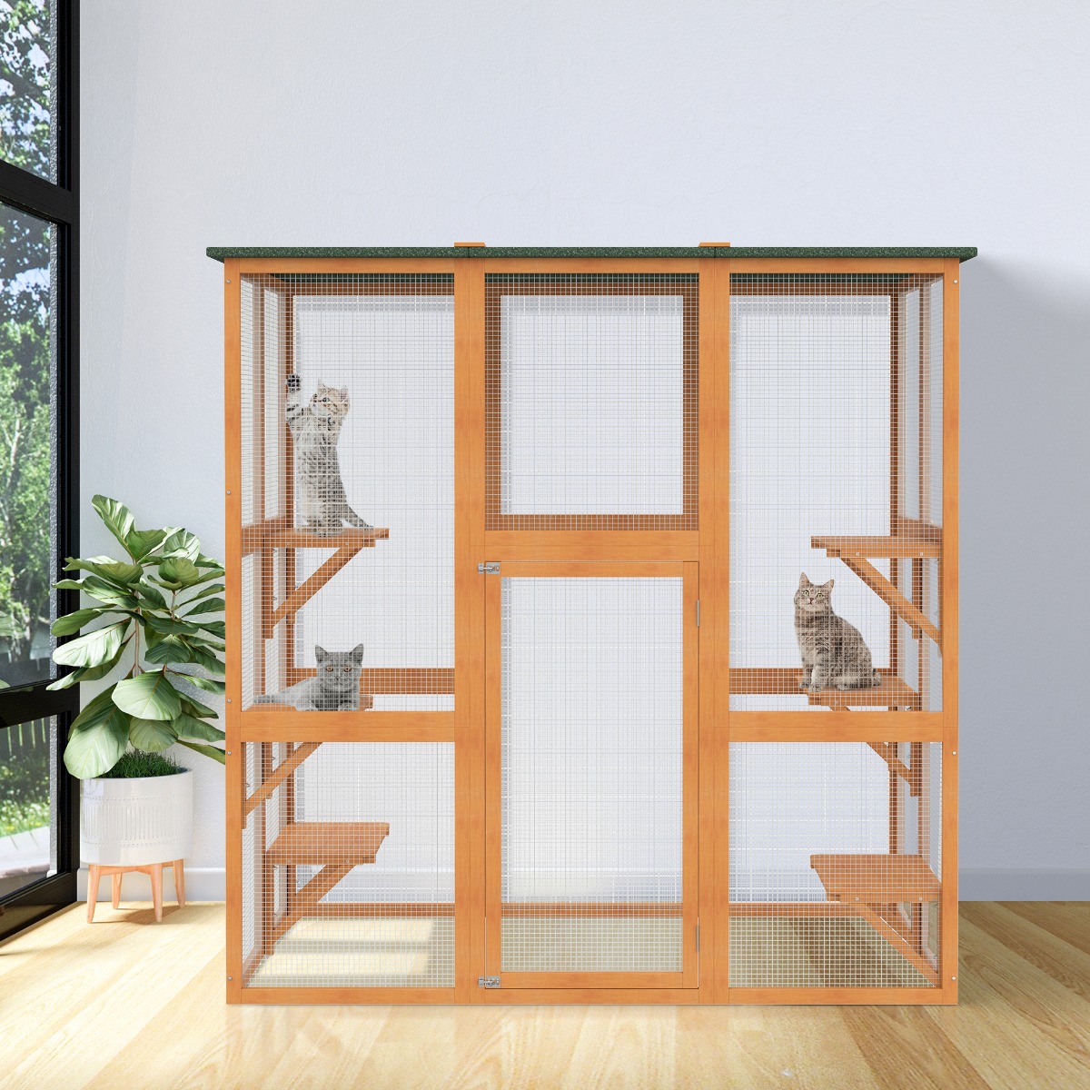 outdoor cat play area