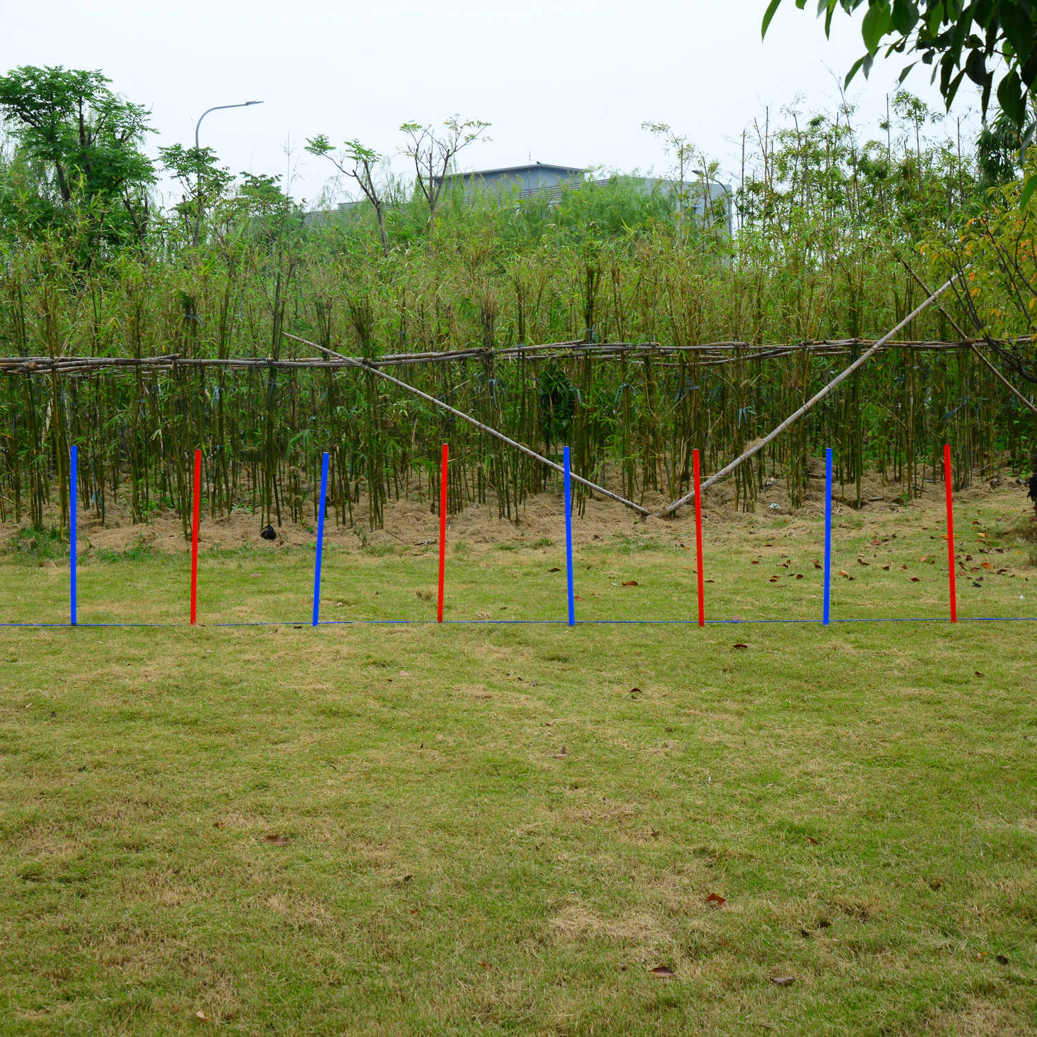 PawHut Portable Dog Agility Equipment Set Outdoor Play Training Activity for Pets Blue Aosom Canada