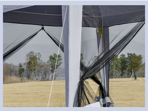 kozara12 サスベア　TENt o TEN fit=scale-down,w=1200