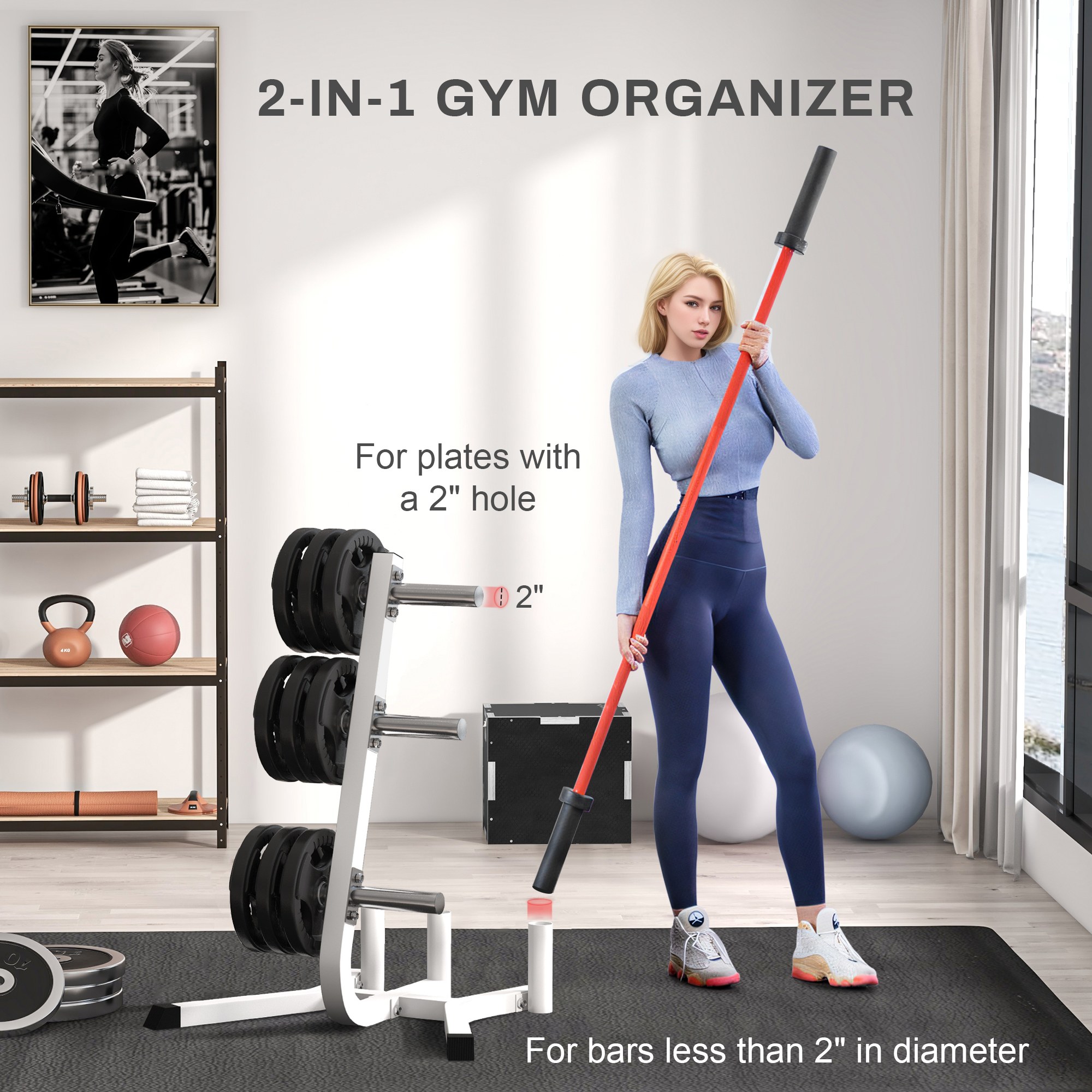 Soozier 2-Inch Weight Plate Rack with Barbell Bar Holders, Olympic Weight Tree, 660 lbs. Capacity, White 2