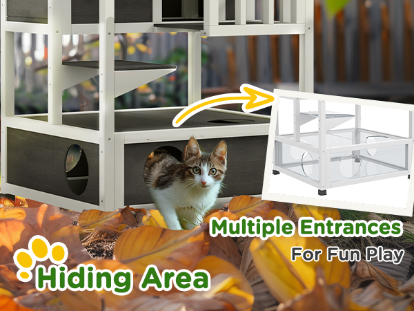 family cats　0331 This September for our 