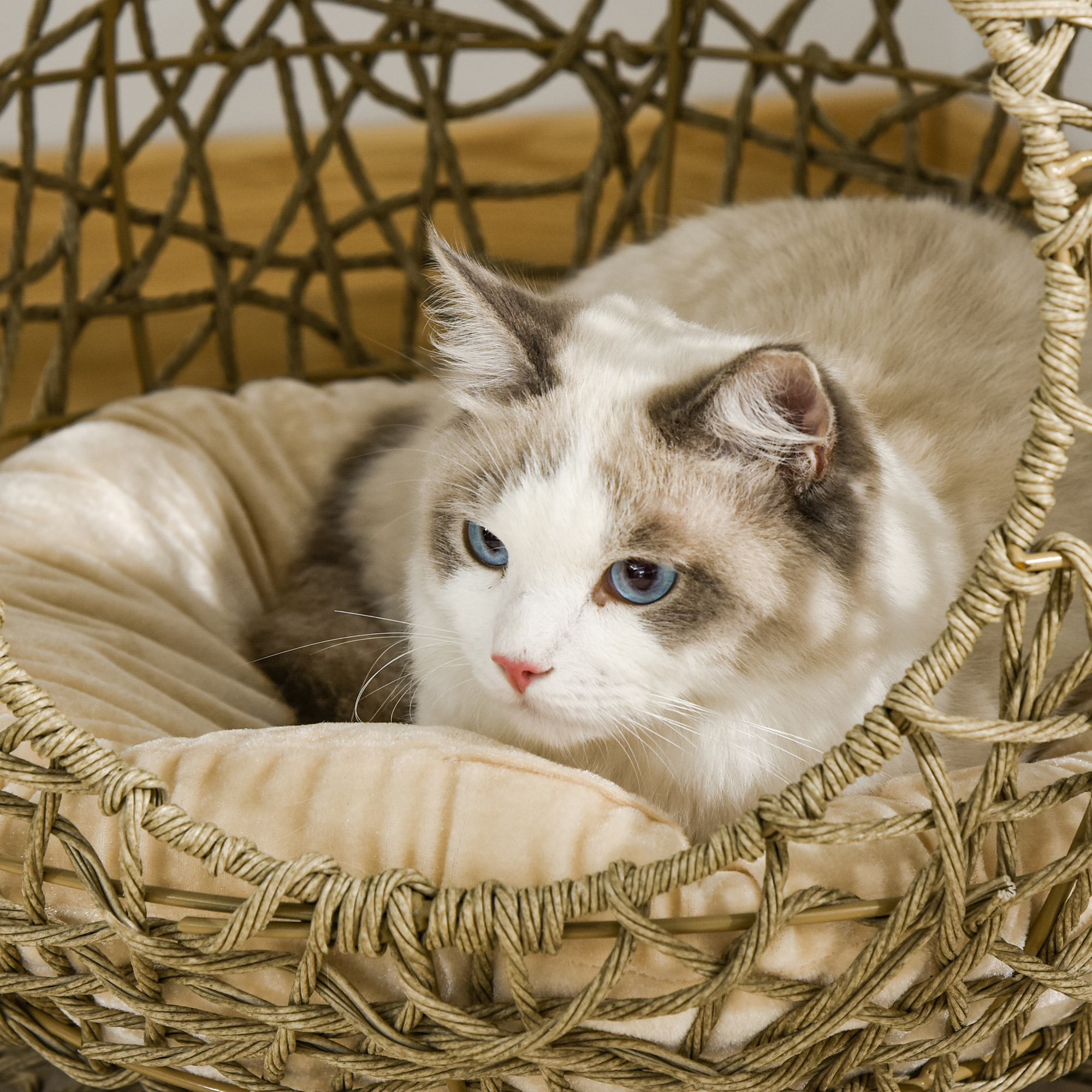 thumbnail image 2 of PawHut Wicker Cat Bed With Cushion - Elevated Rattan Pet Bed For Indoor Cats, Light Brown 2 of 9