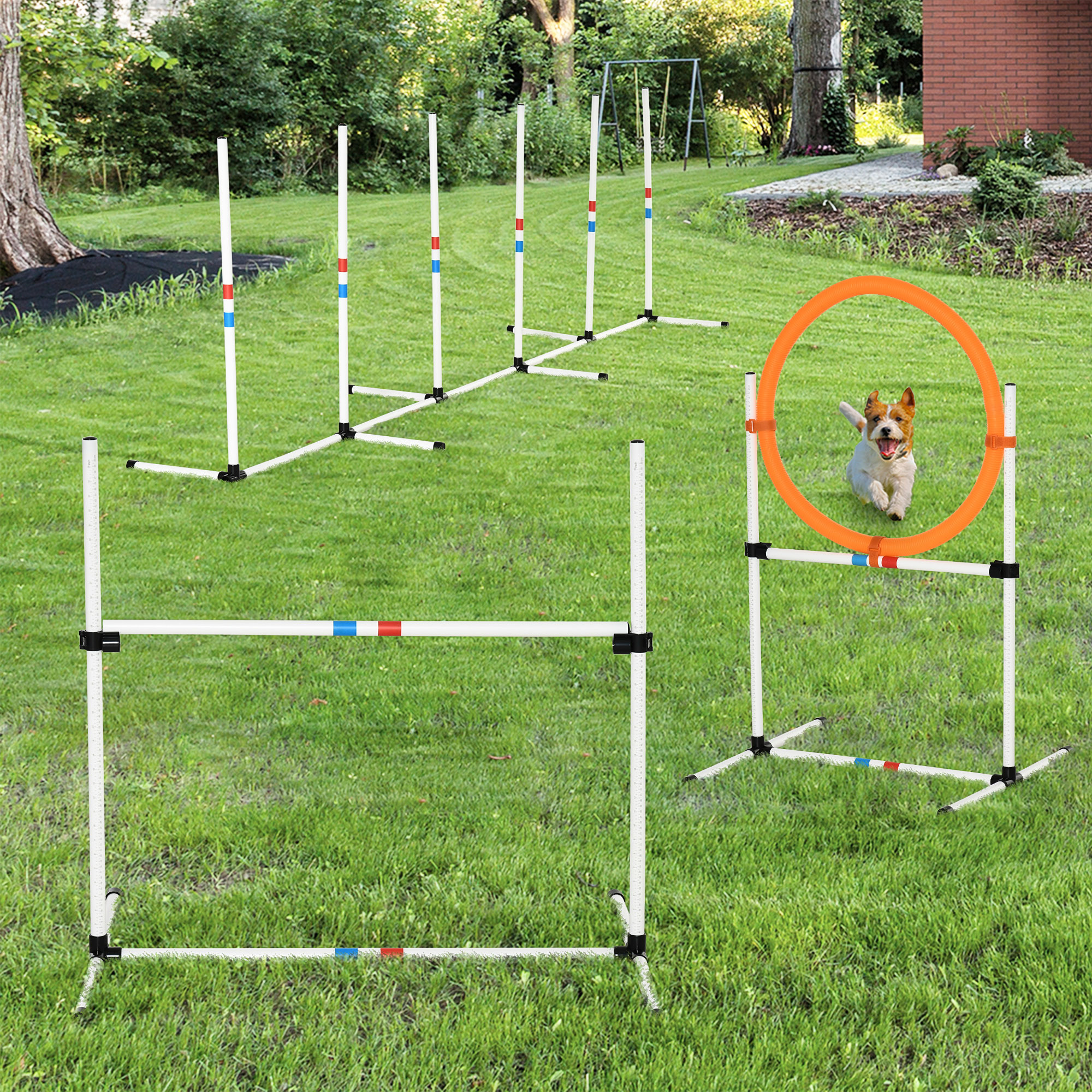 PawHut Portable Pet Agility Training Set Dog Obstacle Exercise