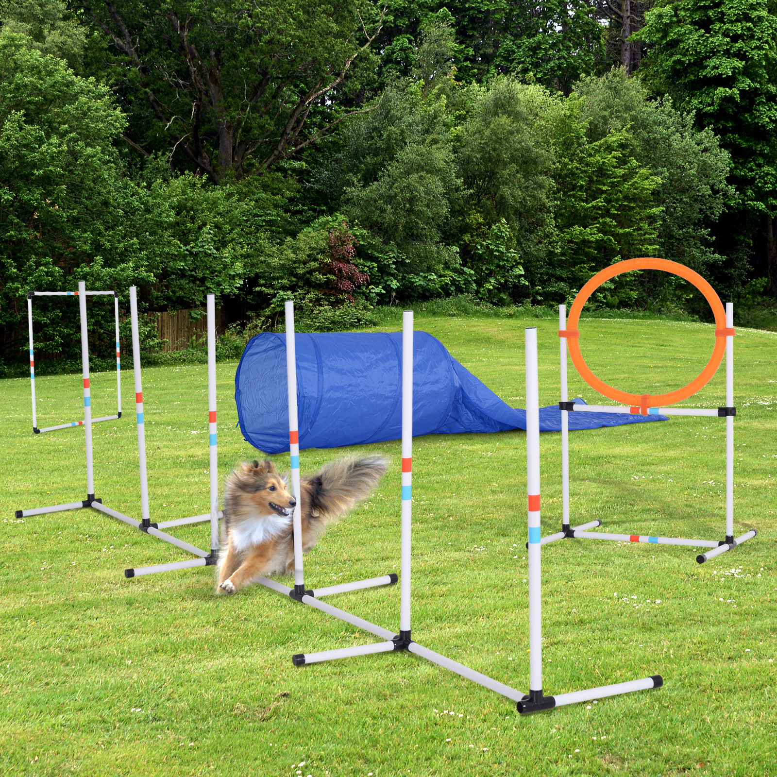 ARB The Best 　 POWER UP! HOUND DOG Pawhut 5 Piece Outdoor Game Dog Agility Training Equipment
