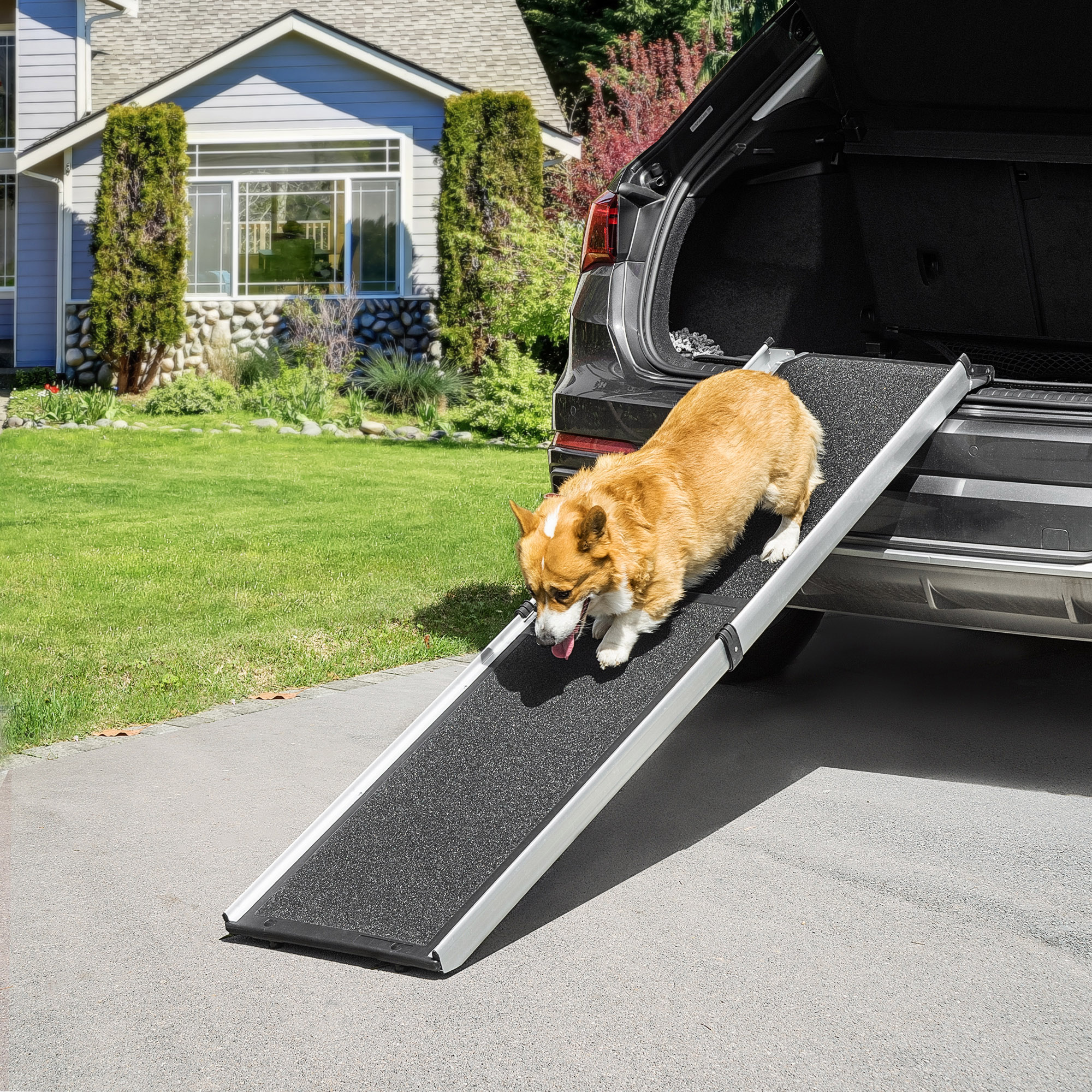 Dog Car Ramp Remote PawHut Portable Folding Pet Ramp, Dog Ramp for Cars with One Carry ...