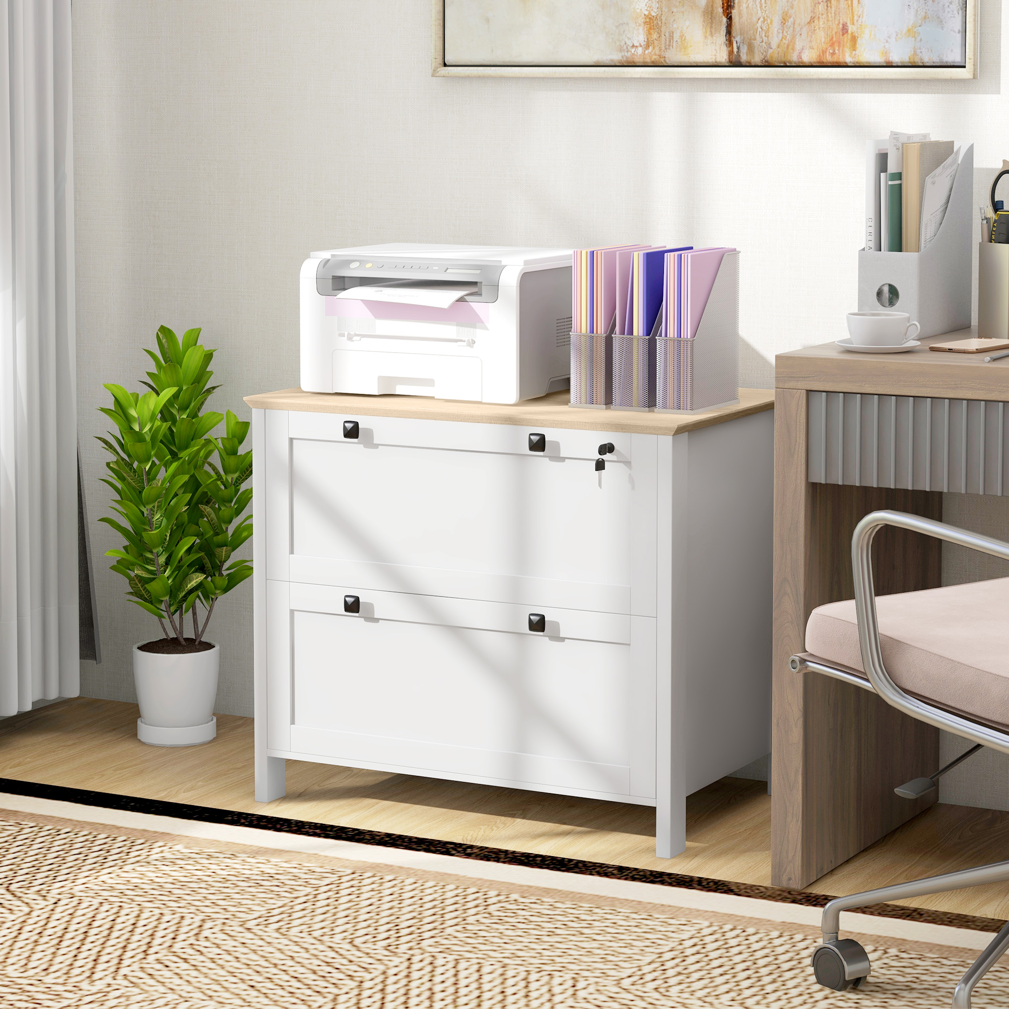 HOMCOM Lockable Filing Cabinet with 2 Drawers, Adjustable Hanging Bar for Letter, A4 and Legal Size, White Aosom Canada