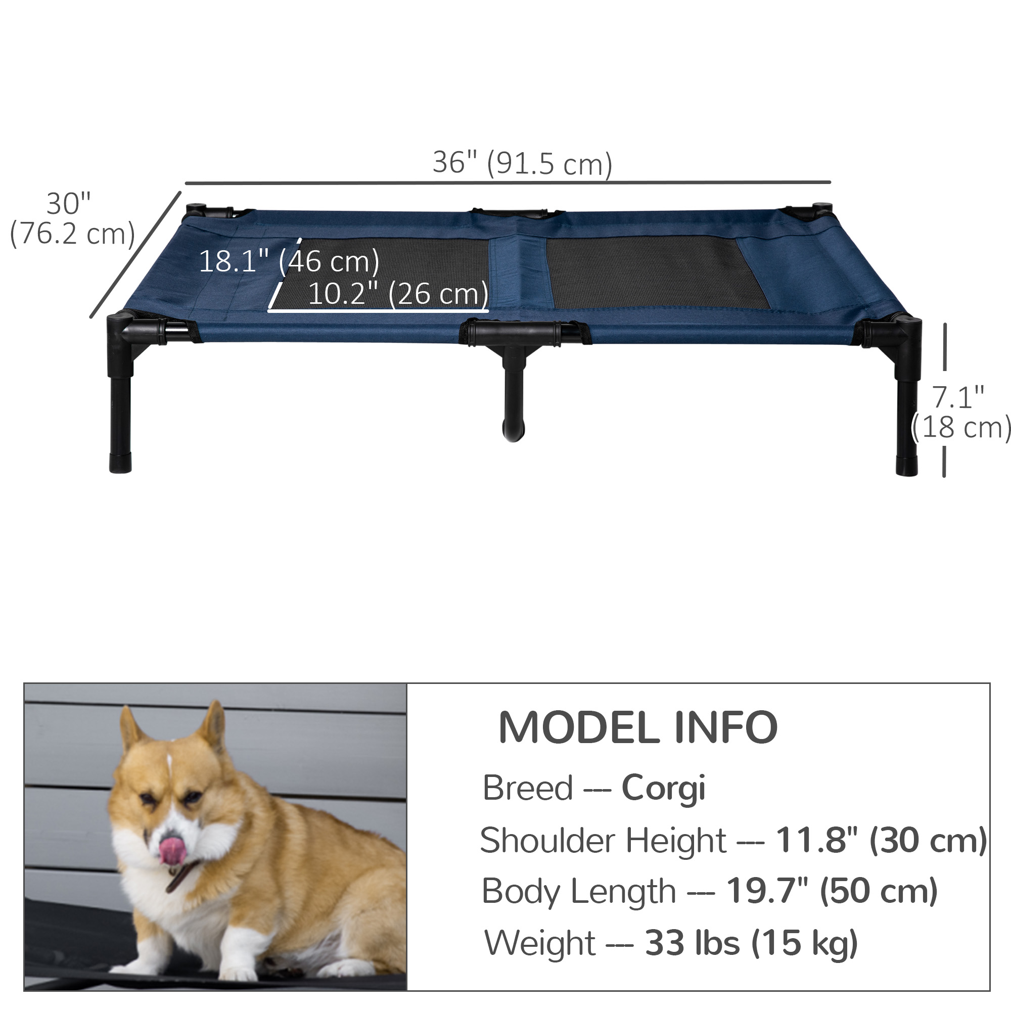 捨七　summer holiday PET PawHut 30