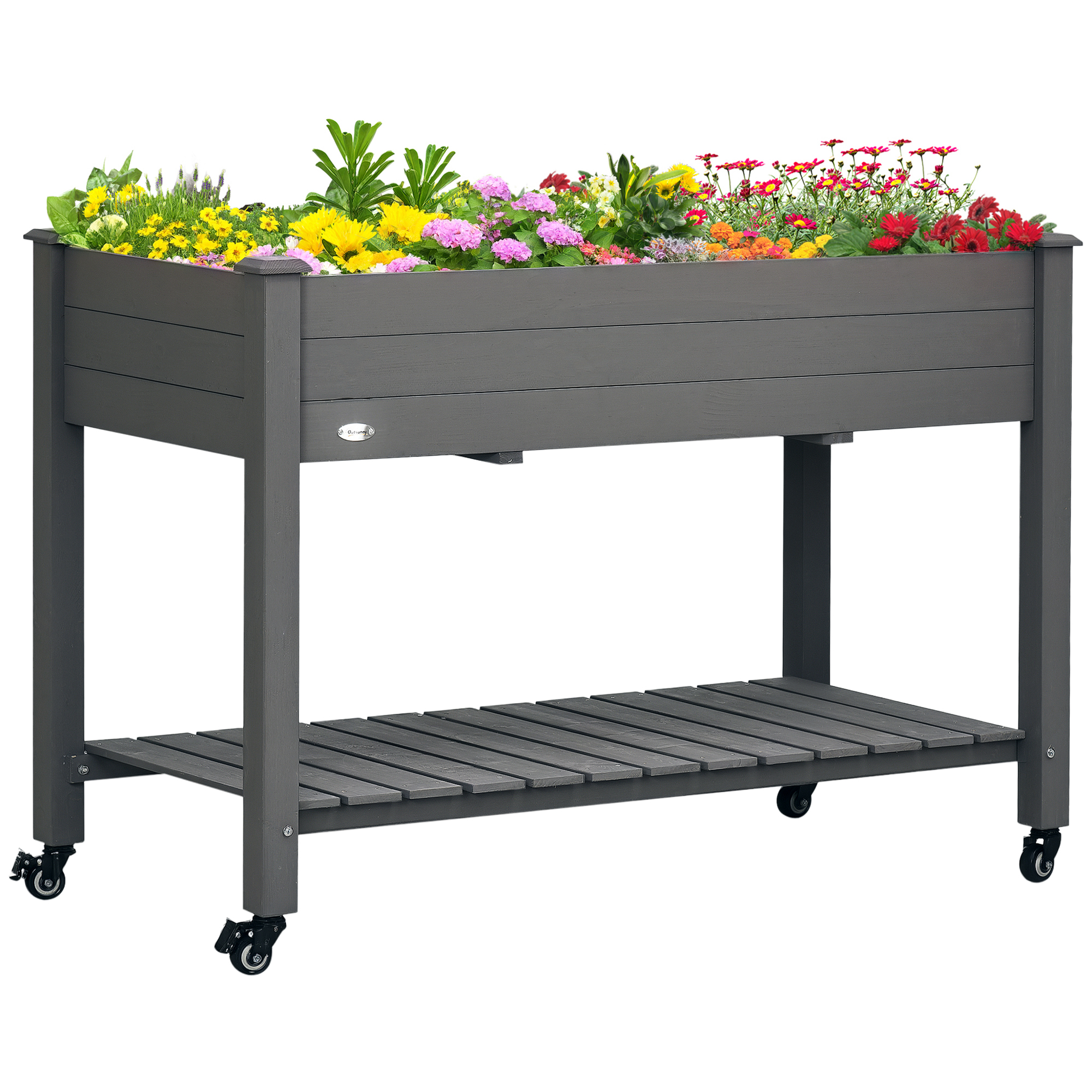 plants mania　THE SIDE UP BOX plants mania THE SIDE UP BOX ZZ Plant | Shop Houseplants