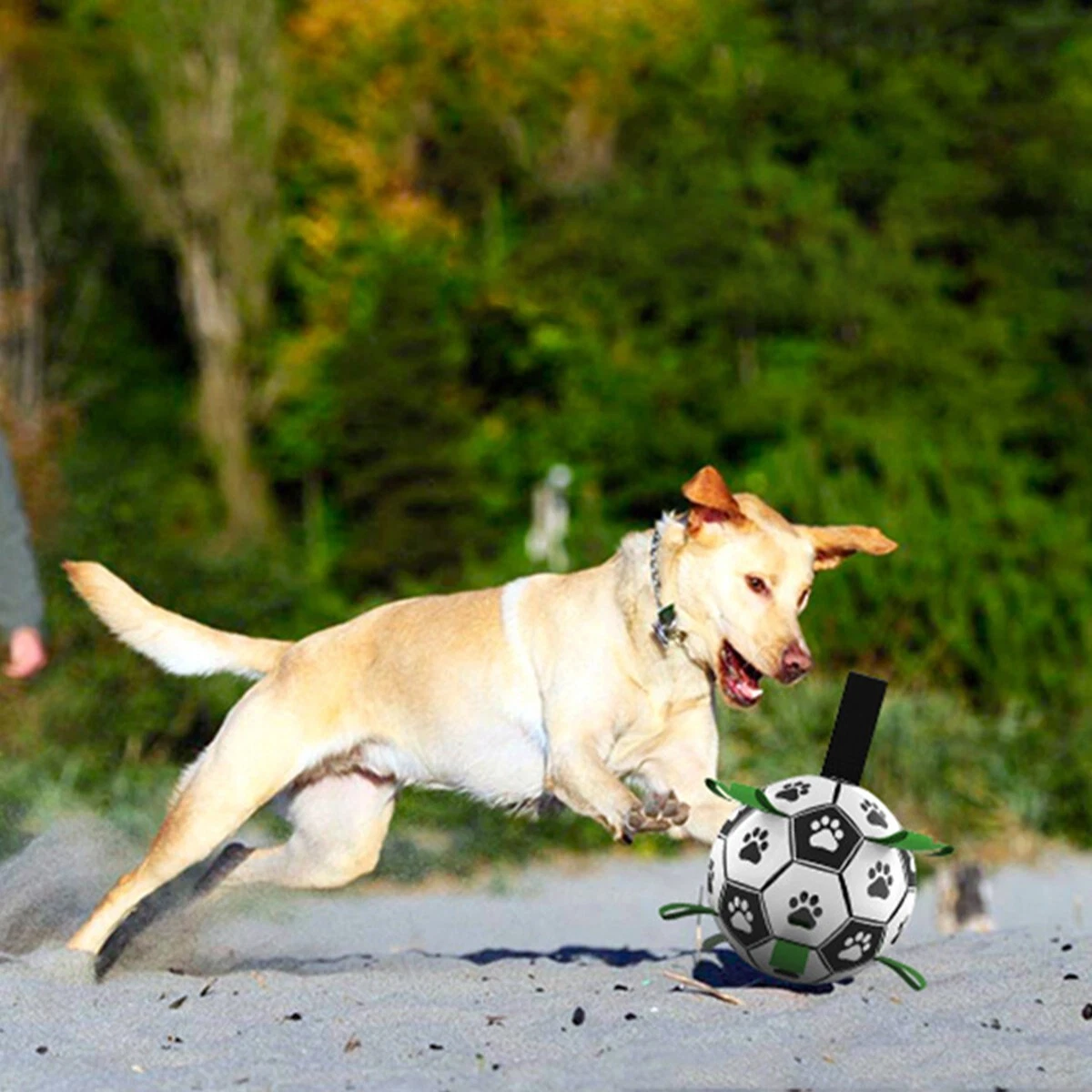 Durable Dog Soccer Ball with Straps, Interactive Water-Resistant Toy for Small to Medium Breeds, 6" L x 6" W x 6" H, Green+Black