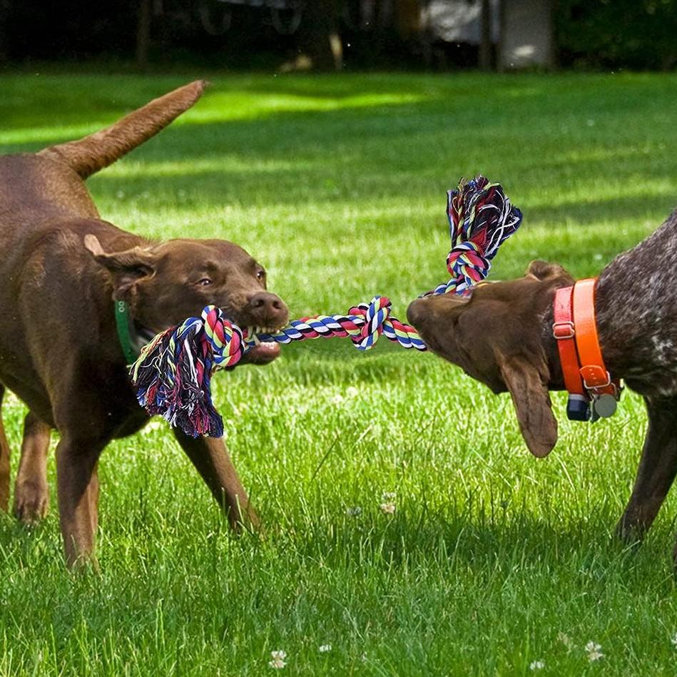 2 Pack Tug of War Toy with Washable 100% Cotton Ropes, Teeth Cleaning Feature, Heavy Duty Dog Rope Toys for Large Breed Chewers, Green+Red | Aosom.com