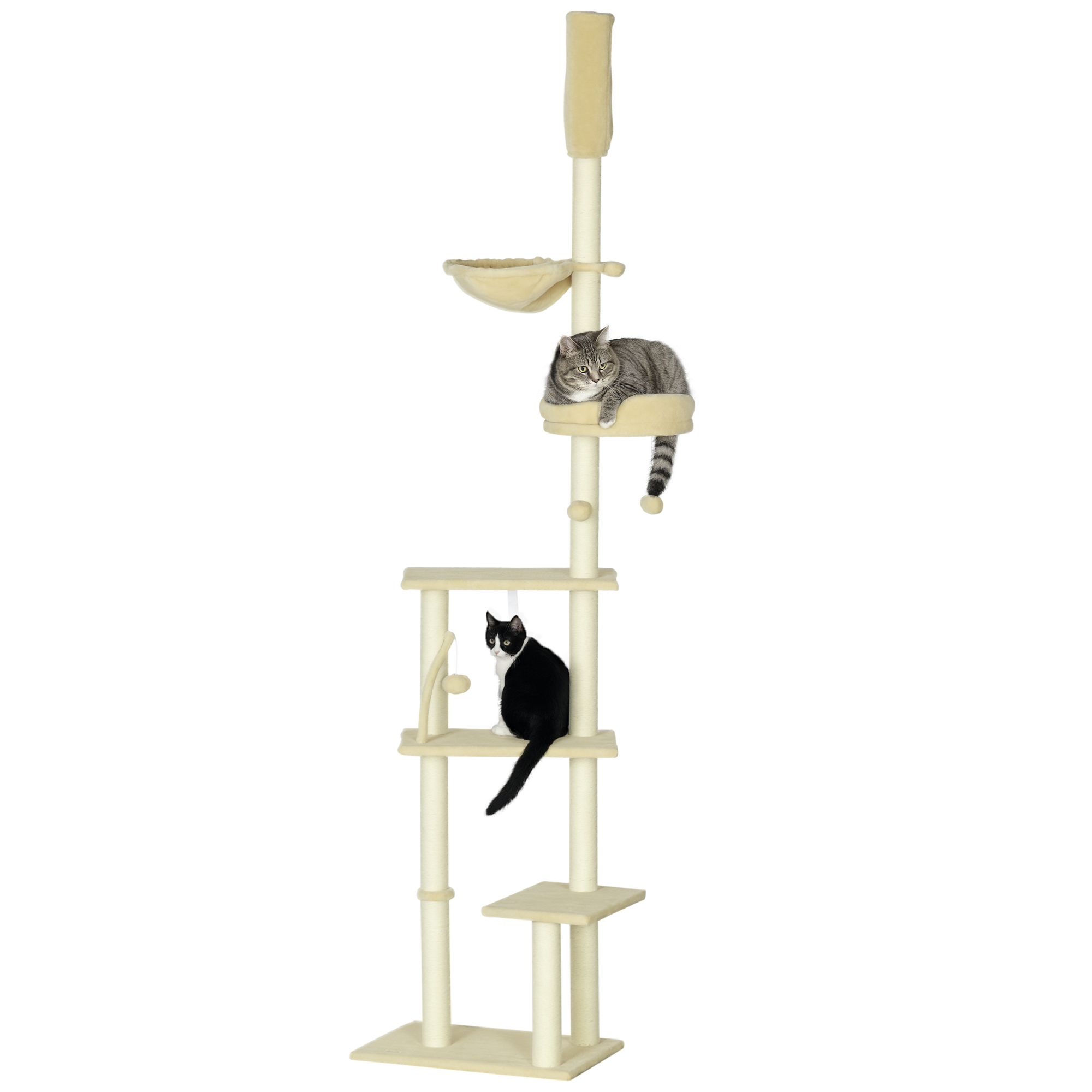 The Cat's Miaow Climb My Stairs レコード 81coLNDqkBL._UF350,350_QL50_.jpg