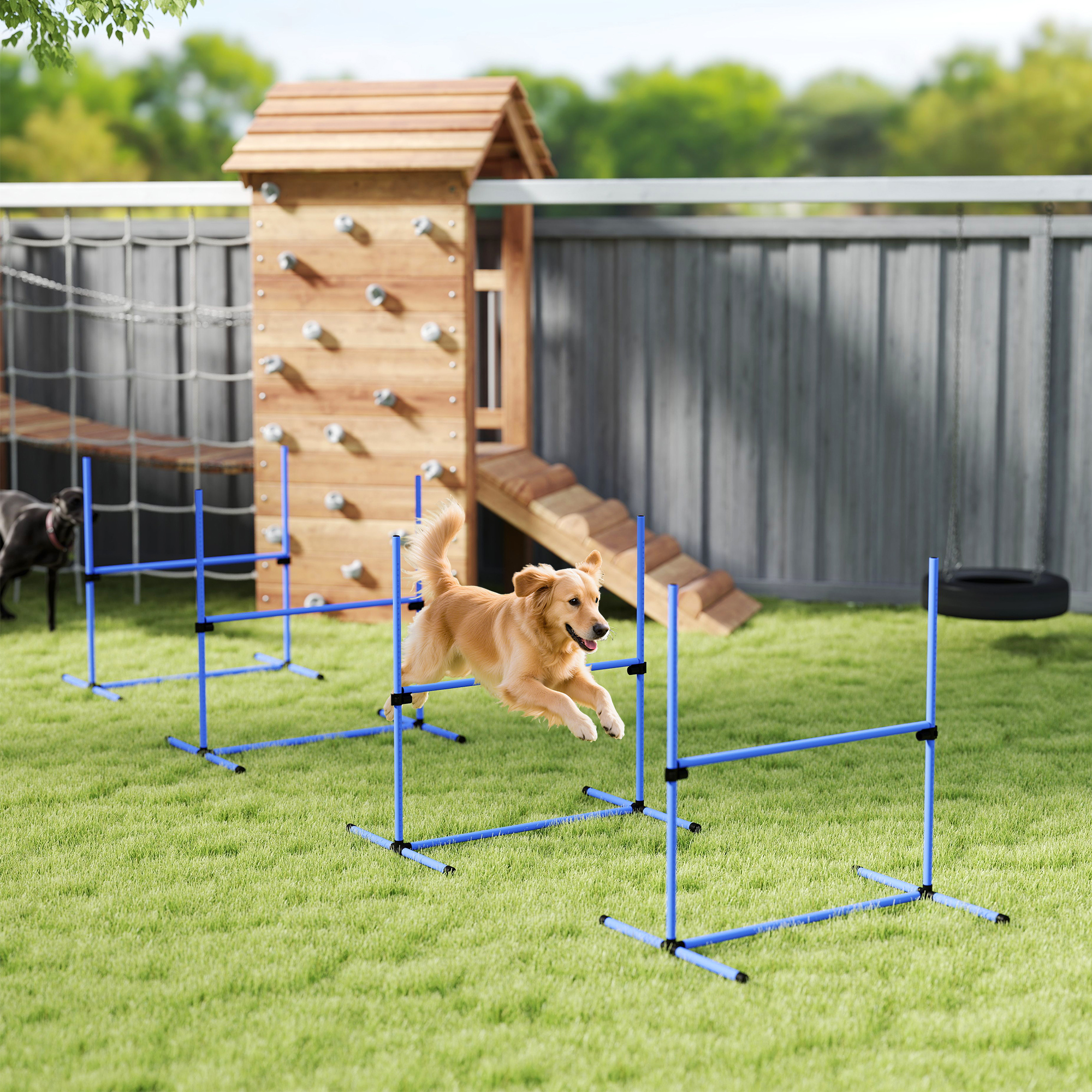 Jump Dog: Dog Agility Products | Dog Park Agility Products