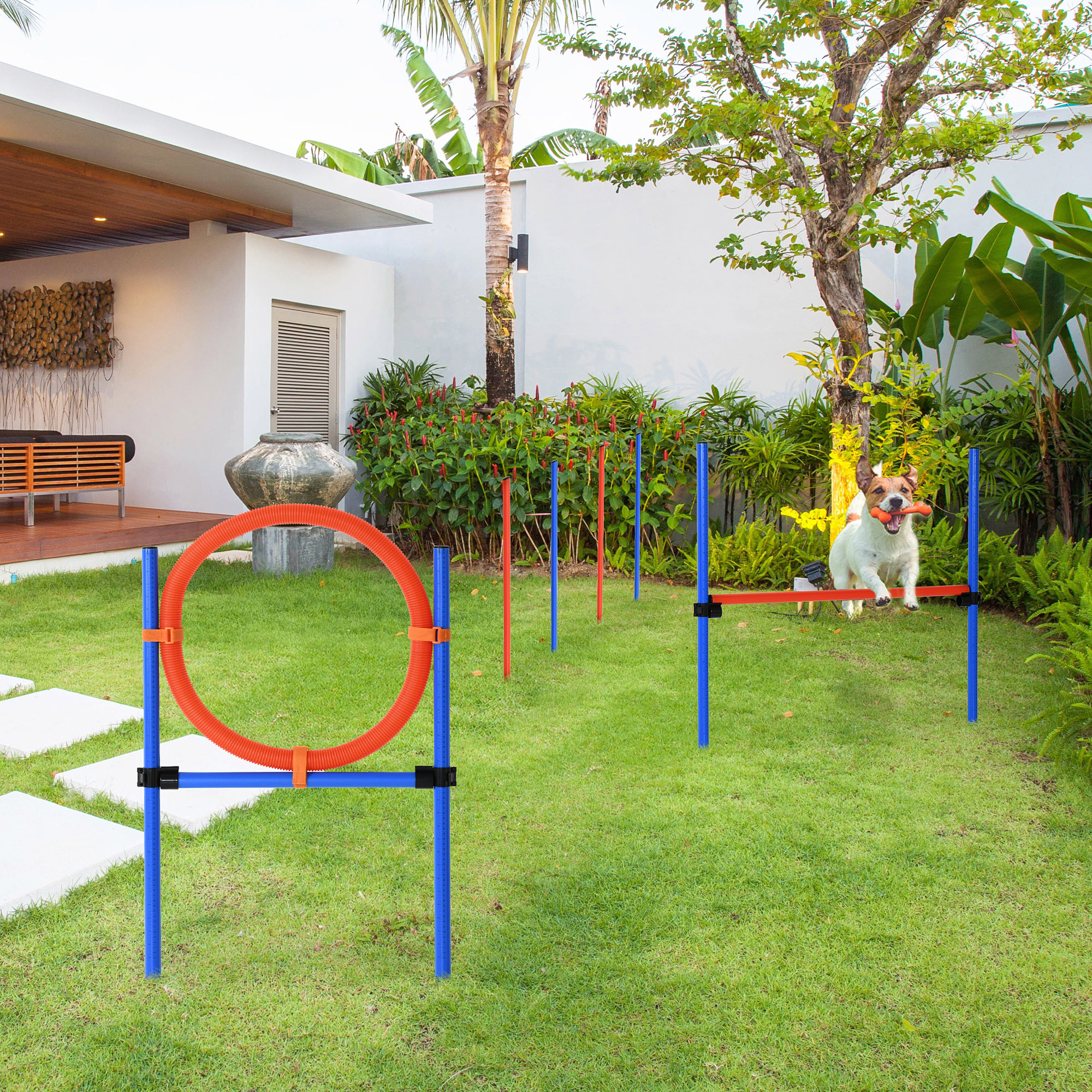 PawHut Dog Agility Training Kit with High Jump Weave Poles Ring Obedience Equipment Adjustable Portable Aosom Canada