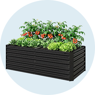 Raised Garden Beds