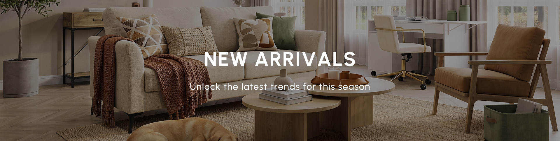 New Arrivals