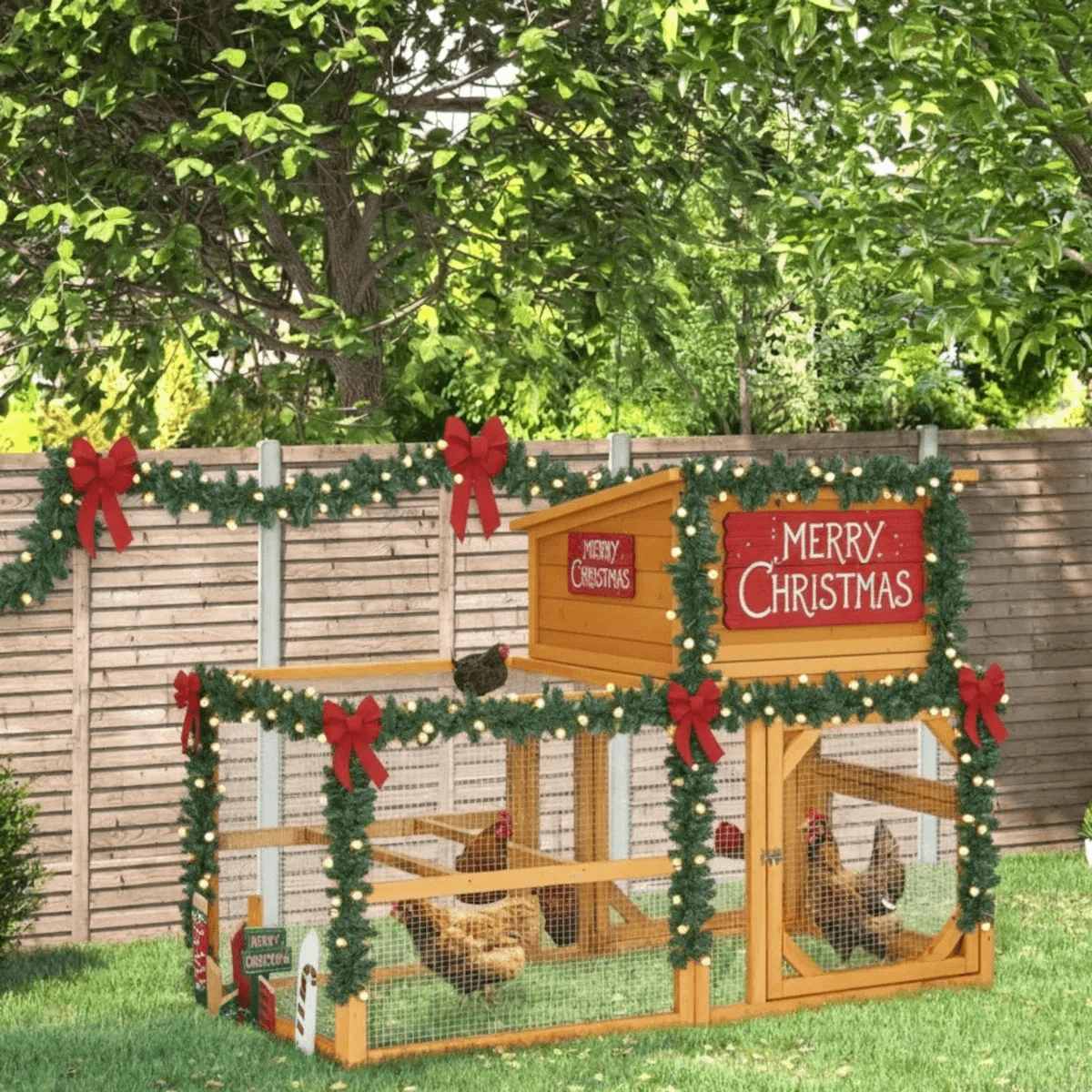 Chicken Coop Christmas Decoration Ideas to Transform Your Coop