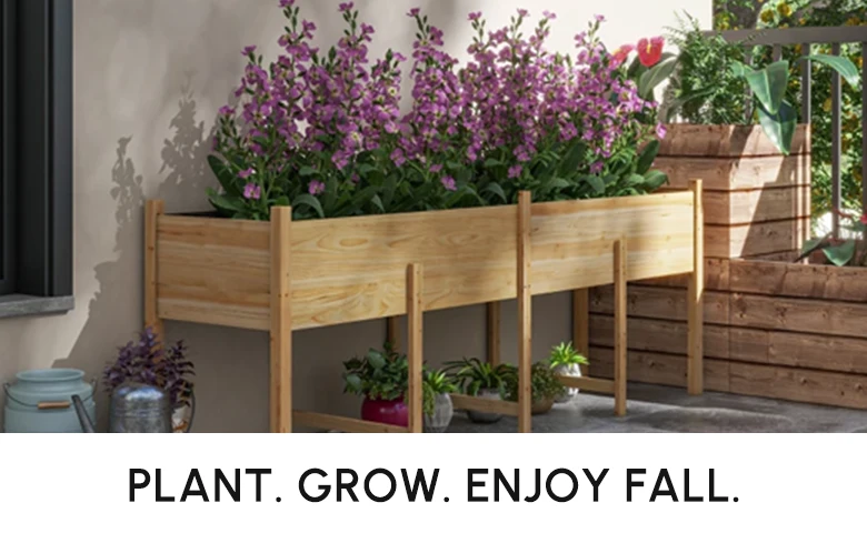 PLANT GROW ENJOY FALL