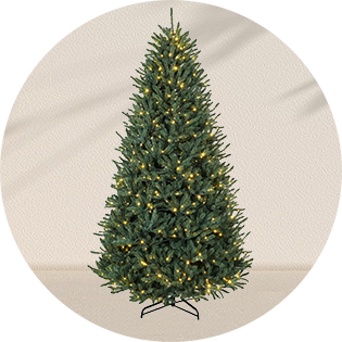 Christmas Trees