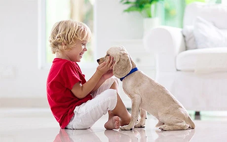 Post-pandemic Dog Culture and Your New Lifestyle Need to Meet			