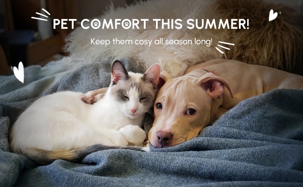 Keep them cozy all season long!