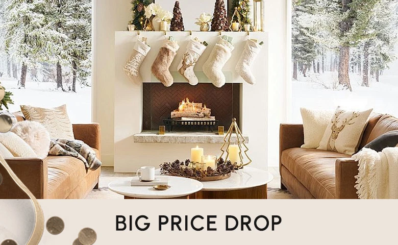 Big Price Drop<span style="white-space:pre;"> </span> <span style="white-space:pre;"> </span>