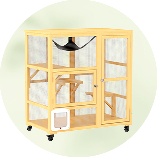 Outdoor Cat Enclosures