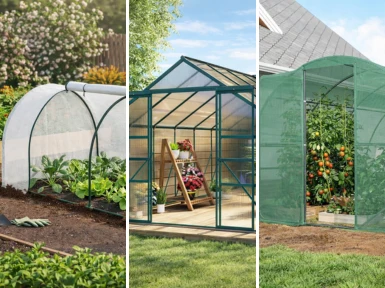 Understanding the blind spot in greenhouse selection
