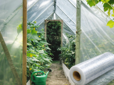Service life of greenhouse cover materials