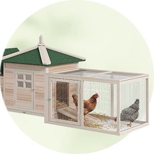 Chicken Coops