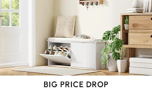 Big Price Drop