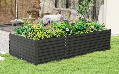 The 10 Best Raised Garden Beds for Easy and Productive Gardening