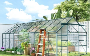 8 Benefits of Greenhouse Farming for Better Yields and Crop Growth