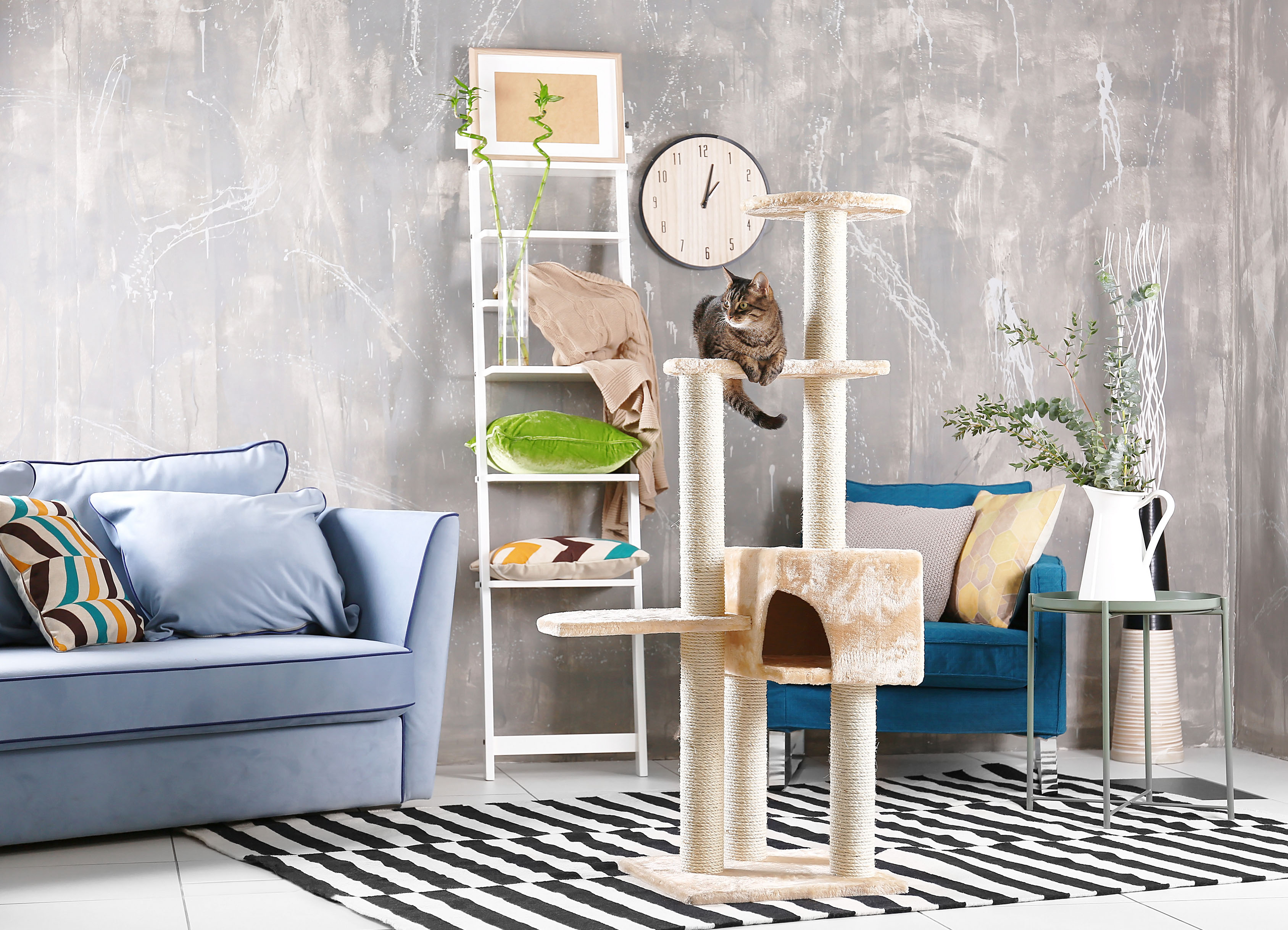 When is a Hutch a Home?