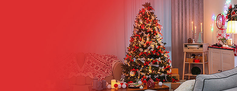 Christmas Buying Guide