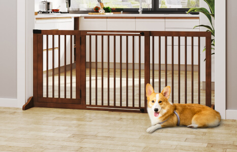 Pet Gates