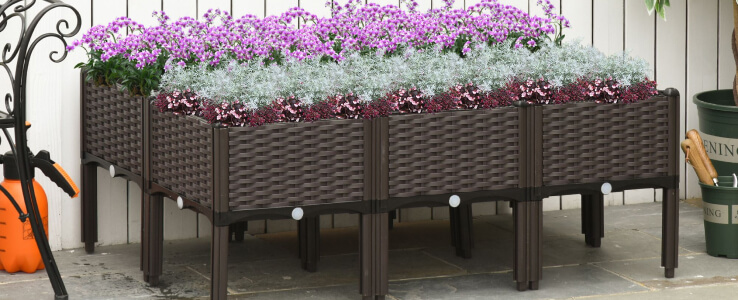 Garden Bed: Cultivate Your Own Paradise