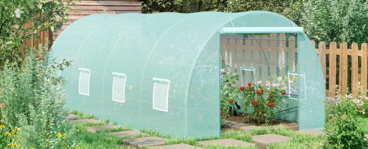 Green House: Year-Round Growth Awaits!

