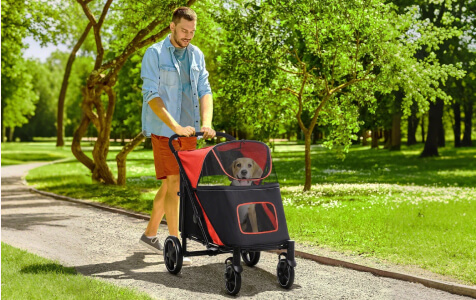 Dog Stroller: Adventure Together!