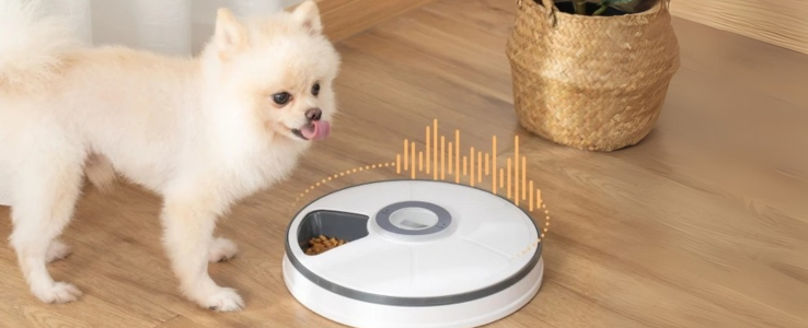 Meal Timing Made Easy