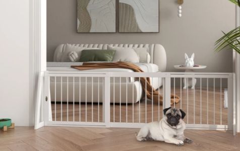 Indoor play, winter-friendly