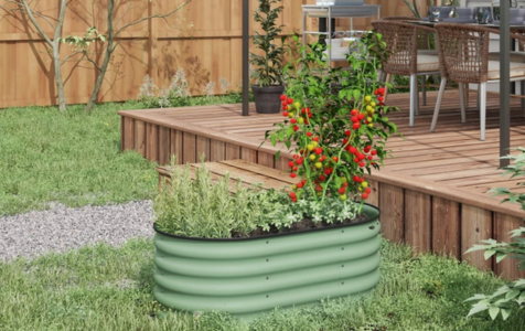 Suitable For Roots 20–30 Cm Deep