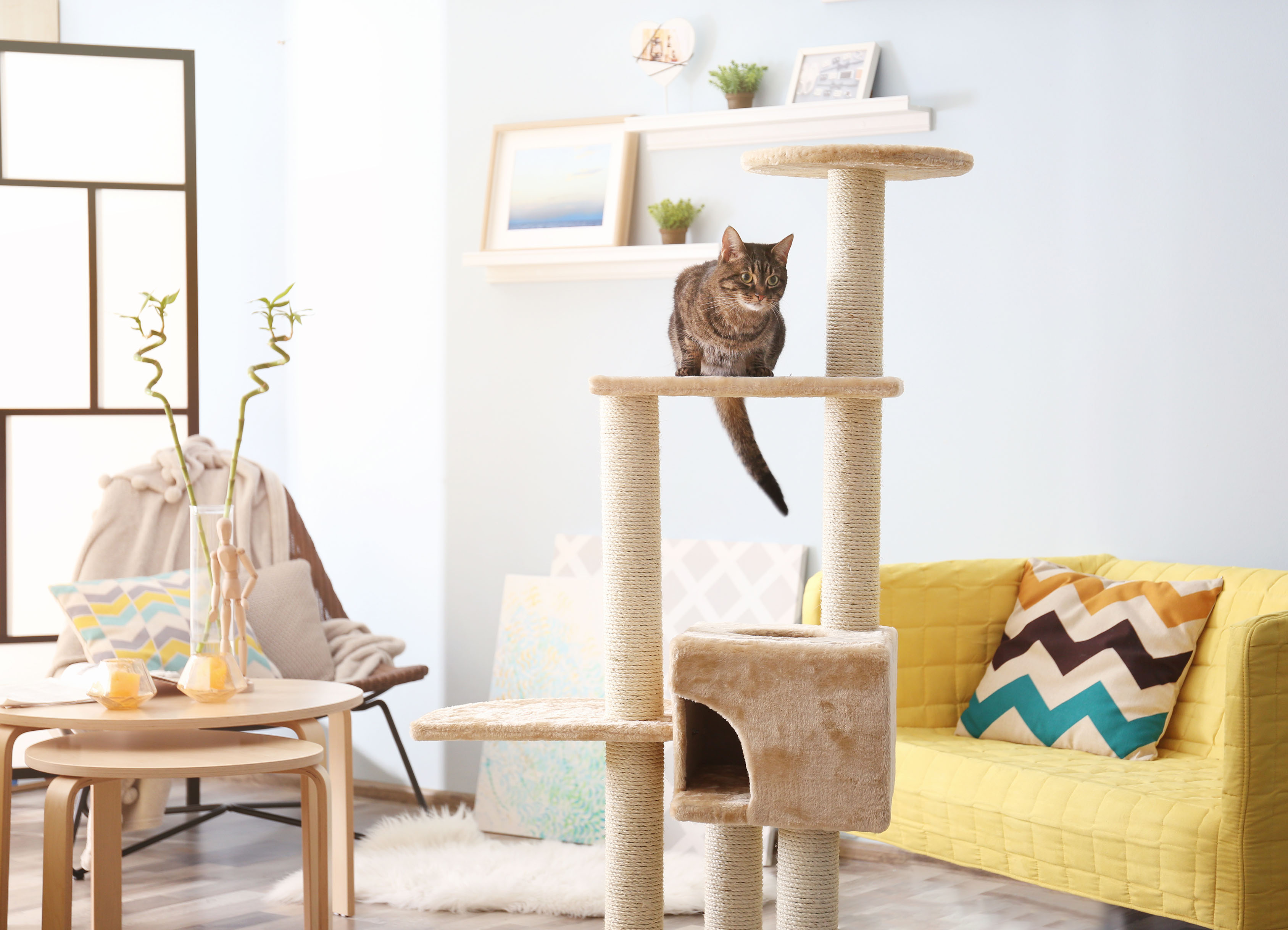 When is a Hutch a Home?