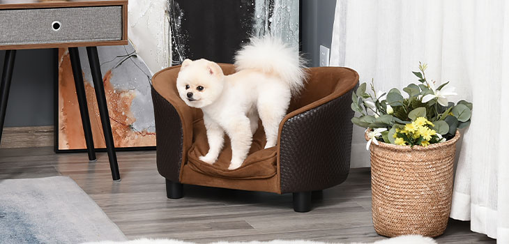 Let your dog relax in style with our Cozy Canine Sofa
