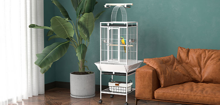 Your bird will have plenty of space in this "Bird House"