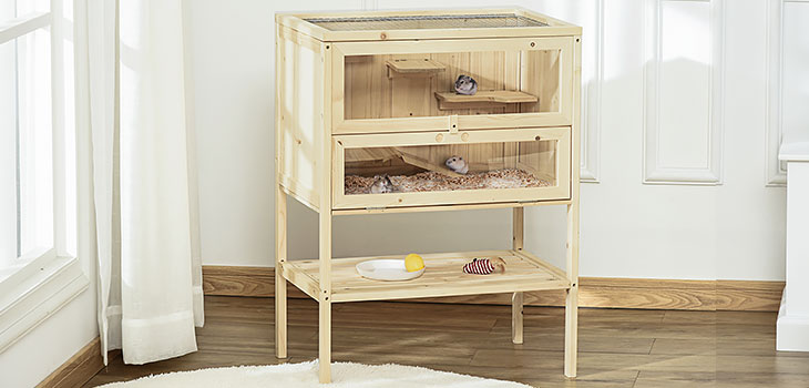 A hamster house designed for maximum fun